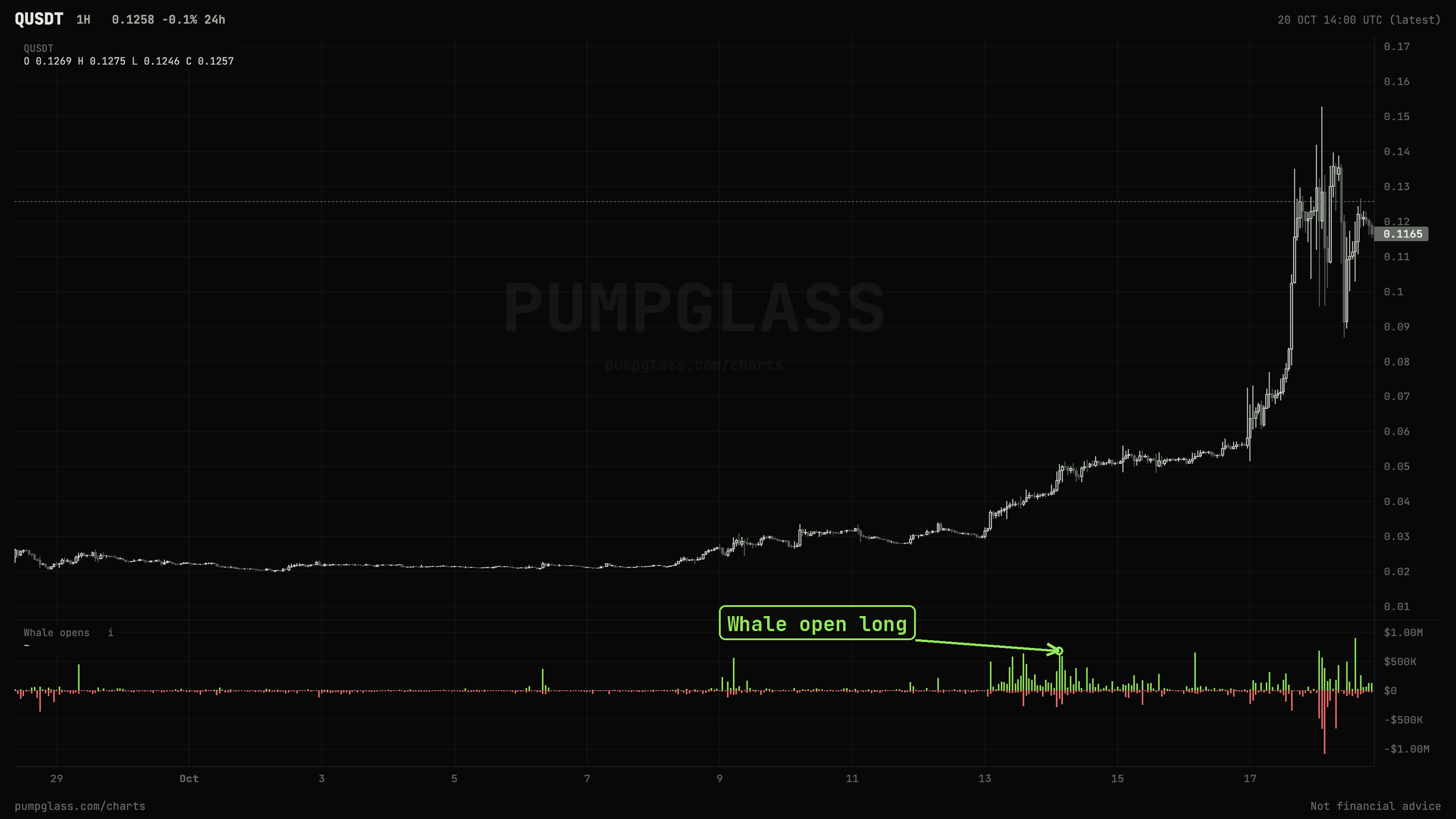Whales build longs before the QUSDT pump