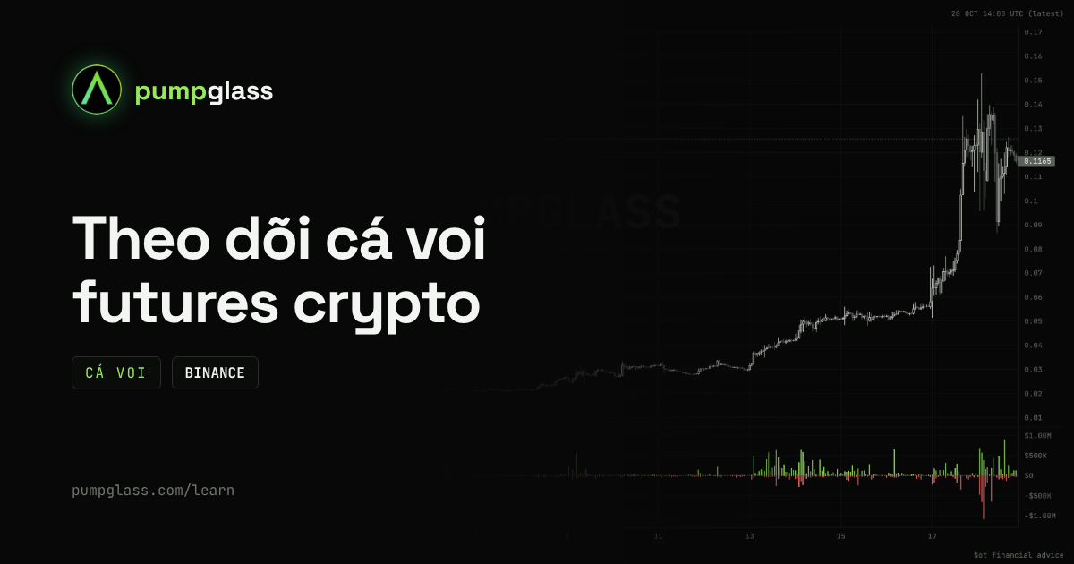 Theo dõi cá voi Binance: xem các trader lớn nhất mở và đóng vị thế ở đâu (2026)