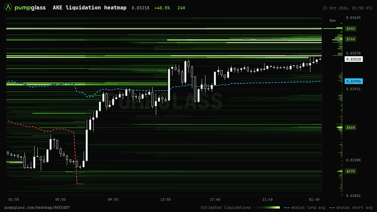 AKE liquidation heatmap, liquidation map and liquidity heatmap, 24h