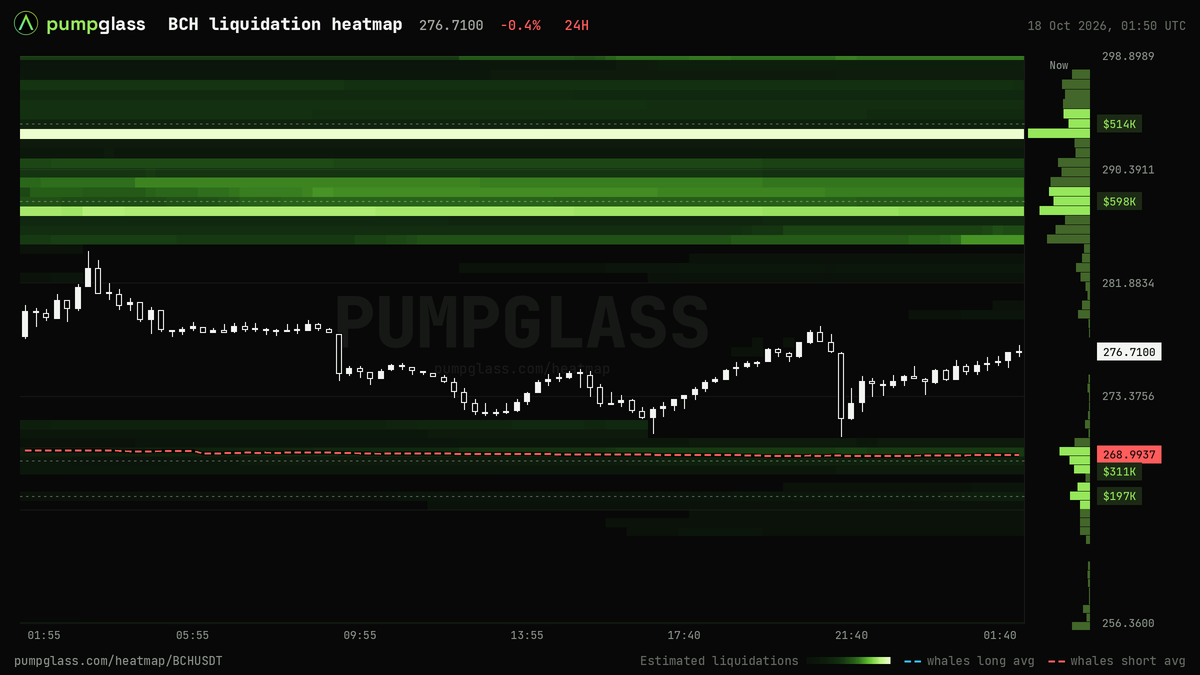 BCH liquidation heatmap, liquidation map and liquidity heatmap, 24h