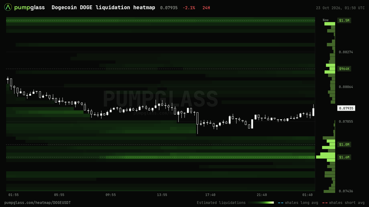 Dogecoin DOGE liquidation heatmap, liquidation map and liquidity heatmap, 24h