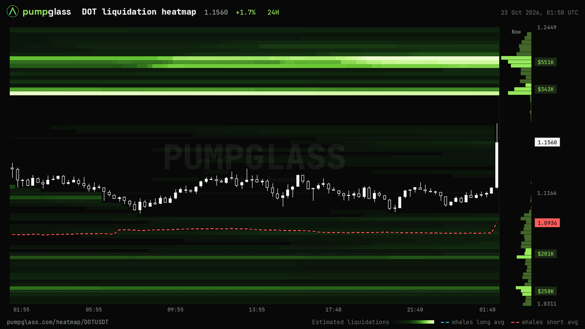 DOT liquidation heatmap, liquidation map and liquidity heatmap, 24h