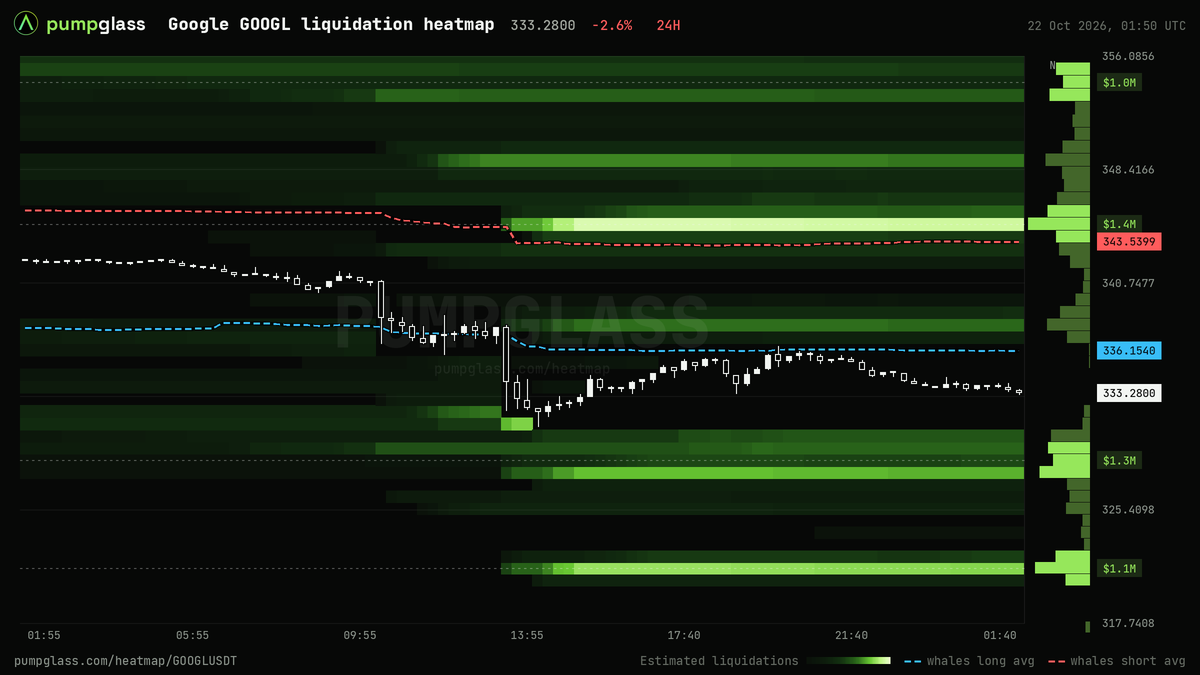 Google GOOGL liquidation heatmap, liquidation map and liquidity heatmap, 24h