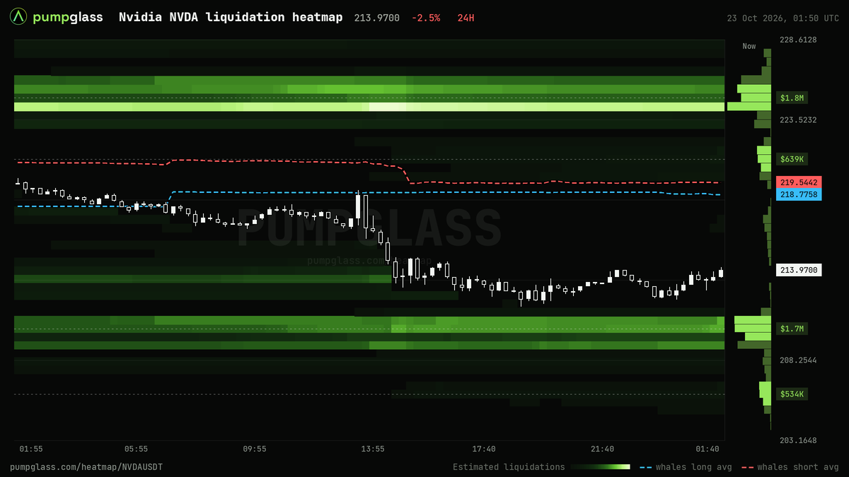 Nvidia NVDA liquidation heatmap, liquidation map and liquidity heatmap, 24h