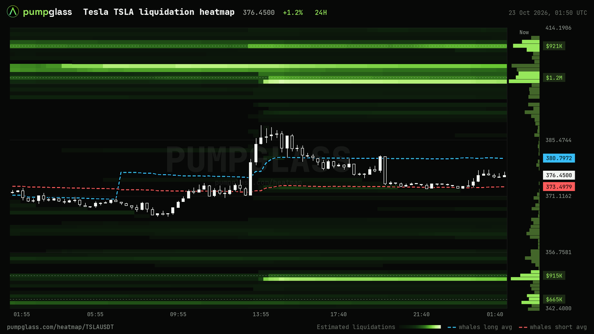 Tesla TSLA liquidation heatmap, liquidation map and liquidity heatmap, 24h